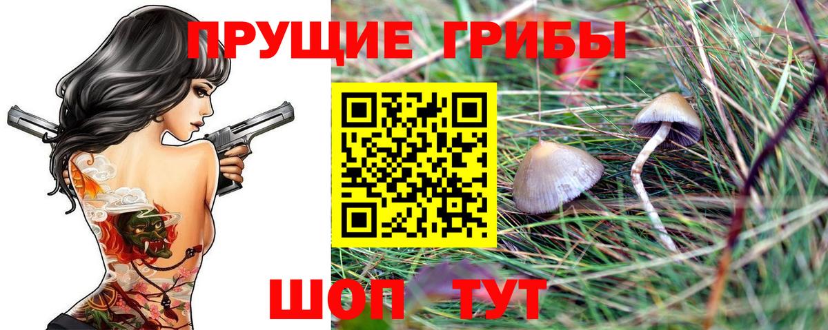 Псилоцибиновые грибы ЛСД Электрогорск