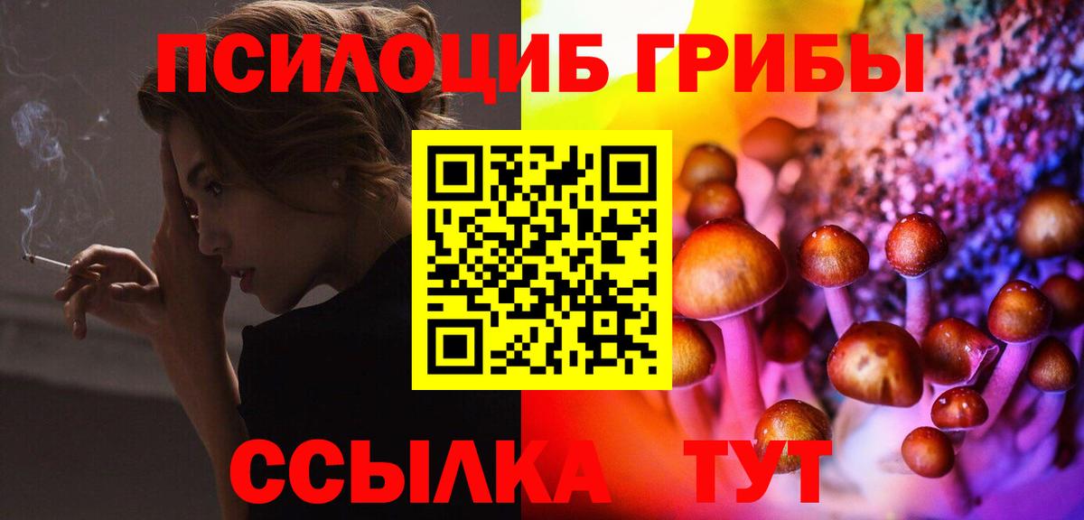 Псилоцибиновые грибы мухоморы  Вход с VPN  Электрогорск 
